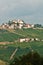 Front view of rows of ready to harvested, Moscato grapes, Piedmont region of Italy