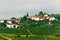 Front view of rows of ready to harvested, Moscato grapes, Piedmont region of Italy