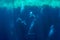 Front view on scuba divers group swimming who exploring deep dark ocean blue water against the backdrop of a coral reef