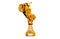 Front view of Sport Motorbike Gold Trophy