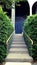 Front View of Staircase With Plant, Empty Staircase With Architecture