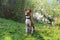 Front view of a two tone basenji in a natural landscape in meppen emsland niedersachsen germany