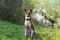 Front view of a two tone basenji sitting in a natural landscape and looking directly in the camera in meppen emsland niedersachsen