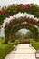 Front view of a Wedding garden of arching roses at a southwest winery in Spain