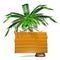 Front View Of Wooden Message Board With Palm Tree