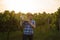 Front view a young farmer man holding box of grapes . Agronomist worker stands in vineyards.