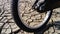 The front wheel of a school bike against a background of dried up cracked clay soil. Racing in the desert. Close-up bicycle rubber