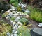 Front yard pond with natural herbs