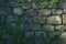 Frontal shot captures aged stone wall adorned with abundant green moss