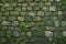 Frontal shot captures aged stone wall adorned with abundant green moss