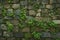 Frontal shot captures aged stone wall adorned with abundant green moss