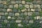 Frontal shot captures aged stone wall adorned with abundant green moss