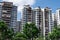 Frontal shot of residential condominium with green trees in front