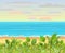 Frontal view of the seashore. Blooming grassy meadow with flowers. Waves along the surf line. Yellow sandy beach. Soft