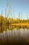 Frontenac Park lake at spring