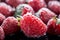 Frost coated strawberries, a close up glimpse of natures frozen beauty