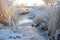 Frost-covered grasses framing a narrow icy brook