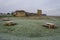 Frost covered ground at Flint Castle