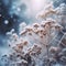 Frost covered plants sparkle in the cold winter air