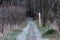 Frost Covered Trail Disappears Into The Dark Forest