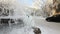 Frost covered trees in a Siberian city