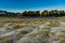 Frost deposit on the grasses on the chilly winter morning