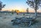 Frost in a field on a cold winters morning