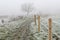 Frost and fog landscape in the English countryside