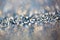 Frost glowing shiny blurred chrismas greetings winter header background