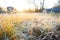 frost on grass along a cold morning trail