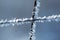 Frost on the iron grid macro. Beautiful winter concept background. Close-up of a frozen iron fence. Macro frost on a blurry