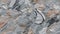 Frost-Kissed Granite: Sleek Slate Beauty. AI Generate