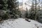 Frost-Kissed Solitude: Snowy Bench in Pokainu Mezs\\\' Fir Enclave