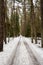 Frost-Kissed Trails: Exploring Tervete\\\'s Winter Wonderland