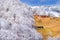 Frost land in the Carpathian Mountain and Transylvania village