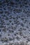 Frost patterns on glass in winter. Looks like falling leaves or fluff. Dark blue abstract background or wallpaper. Vertical shot.