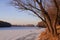 Frost river with snowand naked trees. Winter sunset in warm brown colors