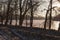 Frost river with snowand naked trees. Winter sunset in warm brown colors