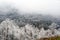 Frost Snow and Mist in the Smoky Mountains