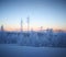 Frost on a tree, pink mountains in Arjeplog