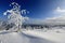 Frost on trees - Bohemian Forest. Sumava. Czech