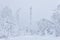 Frosted cell tower and electric wires among a snowy forest on top of a mountain against a winter sky