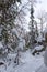 Frosted forest on snow covered stone mountain range. Beautiful multi-tiered small rock covered with snow in the forest