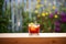 frosted glass of negroni with condensation, garden setting