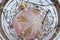 Frosted light pink Christmas ball decoration on a bed of silver hair in a clear background