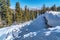 Frosted mountain terrain covered in snow with tall evergreens against blue sky