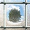 Frosted Square Winter Window Glass with Pine Tree Outside
