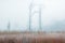 Frosted Tall Grass Prairie in Fog