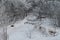 Frosted Trees Around Frozen River Under Snow