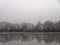 Frosted trees at lake reflected in water, gray shades, winter season nature, copy space